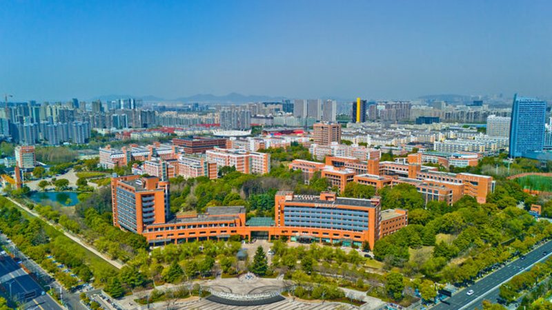 上海二极管批发市场：价格波动背后的市场逻辑**