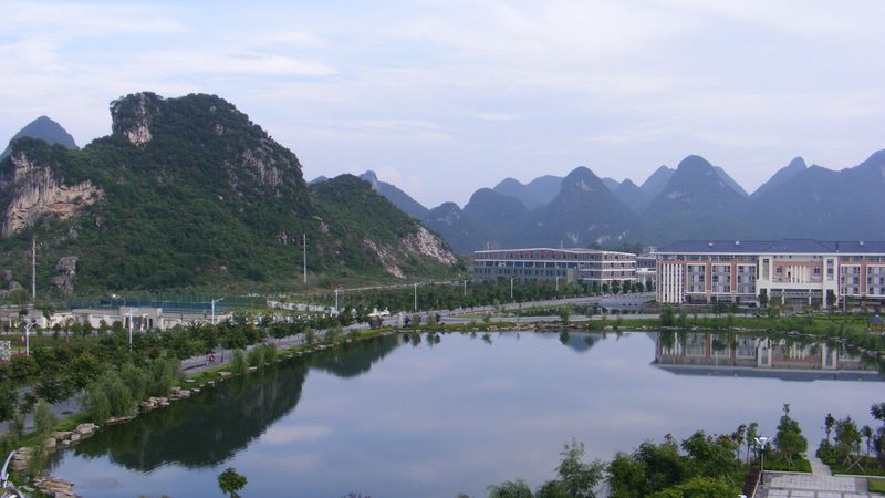 成都物联网电子模块：揭秘其报价背后的技术考量