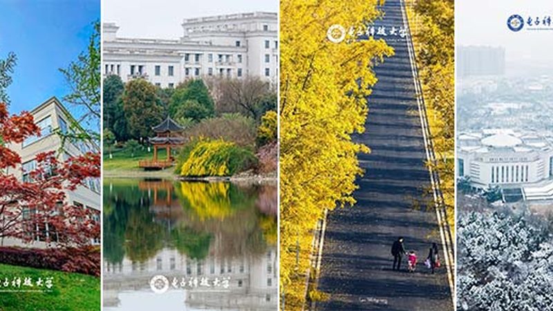 水泥电阻大功率型号：揭秘其性能与选型关键